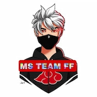 MS TEAM FF Injector